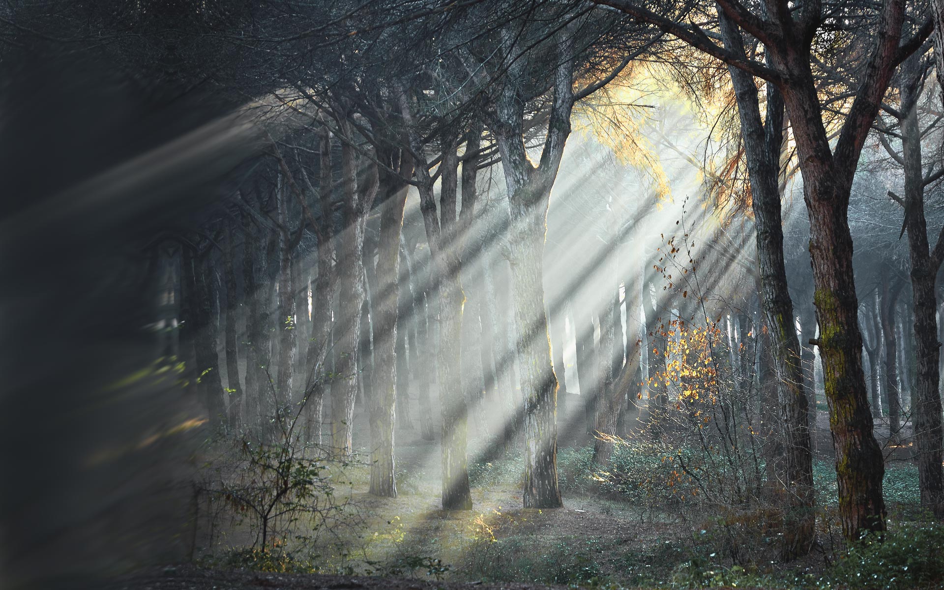 parallax background